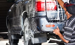 Suspendisse arcu nisl